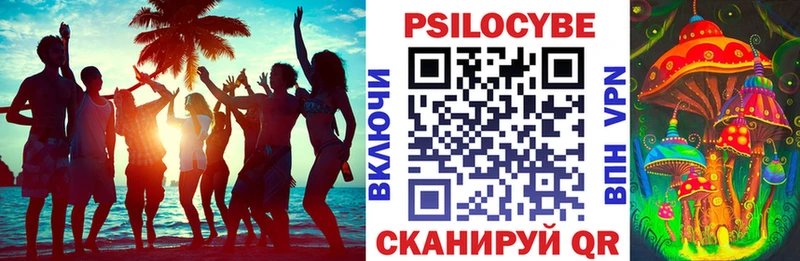 мега как зайти как найти Сретенск Галлюциногенные грибы Psilocybe